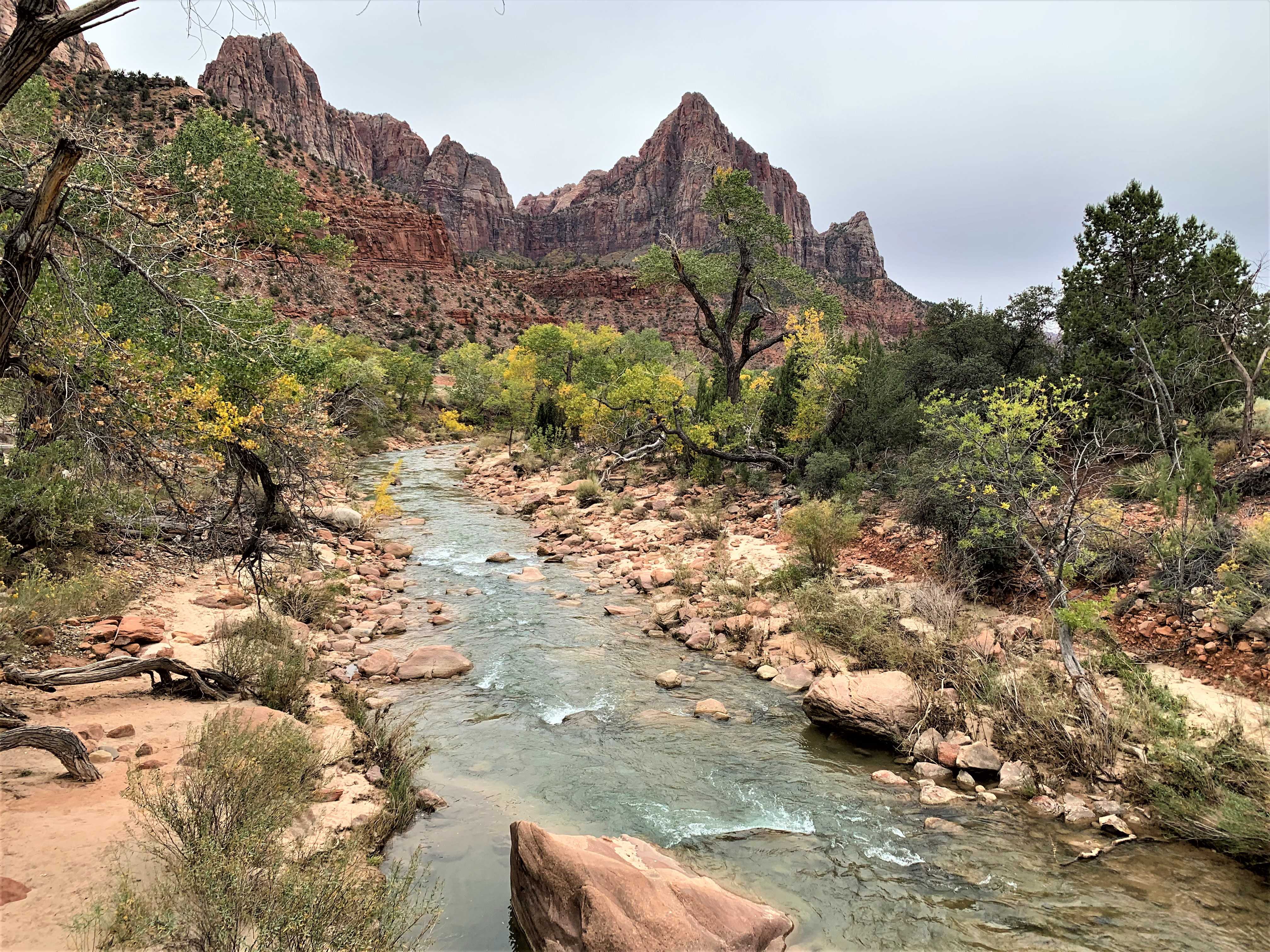 Zion NP